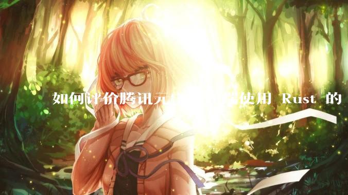 如何评价腾讯元宝桌面端使用 Rust 的 Tauri 框架？