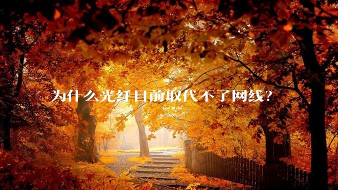 为什么光纤目前取代不了网线？