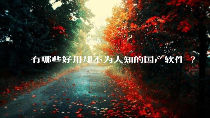 有哪些好用却不为人知的国产软件 ？