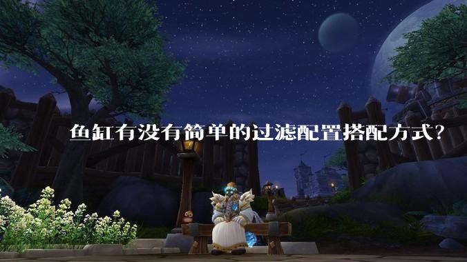 鱼缸有没有简单的过滤配置搭配方式？