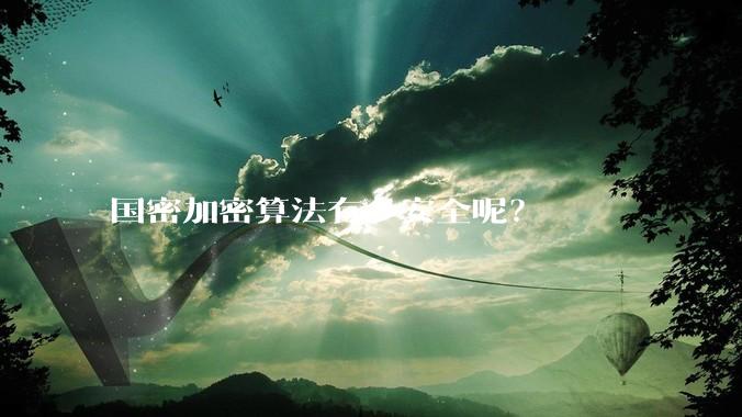国密加密算法有多安全呢？