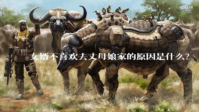 女婿不喜欢去丈母娘家的原因是什么？