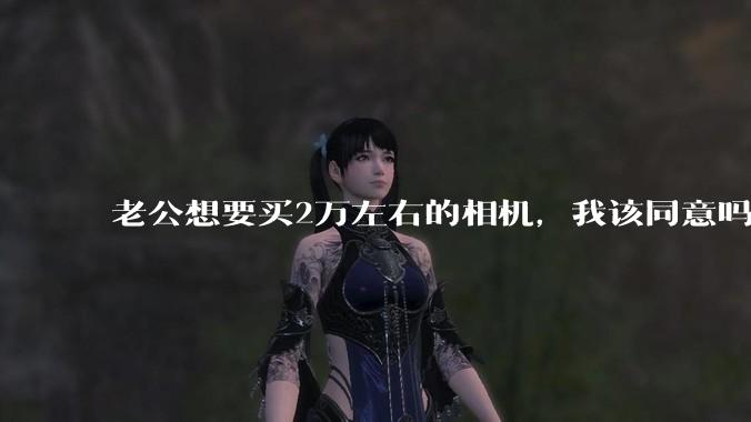 老公想要买2万左右的相机，我该同意吗？